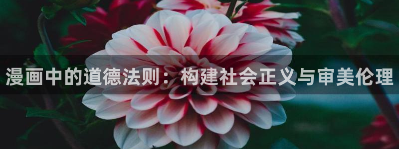香蕉漫画官网