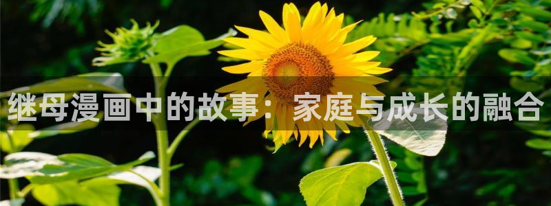 香蕉文化漫画网址：继母漫画中的故事：家庭与成长的融合