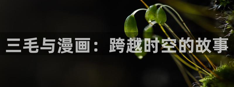 香蕉漫画免费在线观看：三毛与漫画：跨越时空的故事