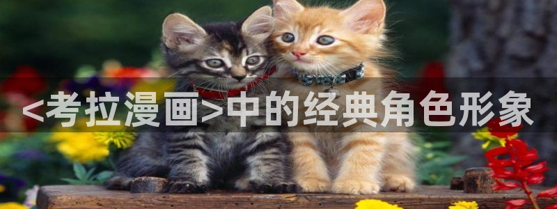 香蕉漫画黄漫免费网站：<考拉漫画>中的经典角色形象