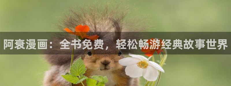 香蕉漫画免费漫画弹窗入口：阿衰漫画：全书免费，轻松畅游经典故事世界