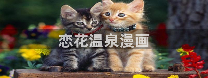,香蕉漫画：恋花温泉漫画