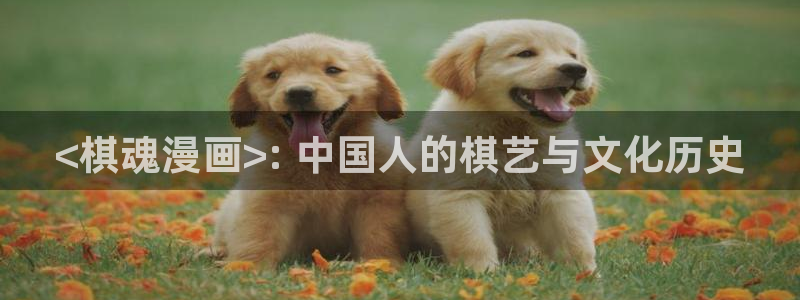 香蕉文化小说漫画更新：<棋魂漫画>: 中国人的棋艺与文化历史