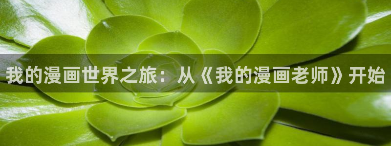 香蕉漫画书下拉式最新：我的漫画世界之旅：从《我的漫画老师》开始