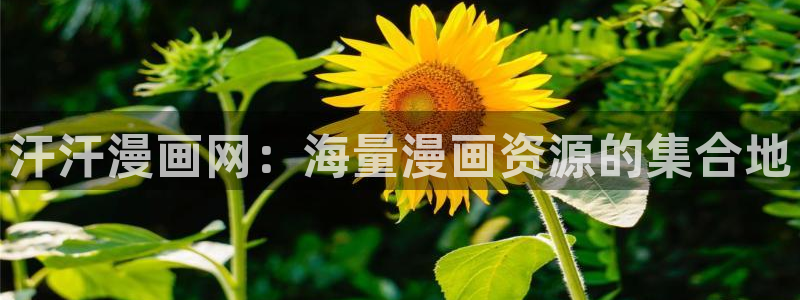 香蕉漫画破解：汗汗漫画网：海量漫画资源的集合地