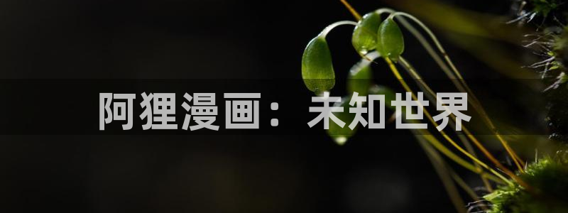 香蕉漫画书免费阅读下拉式最新