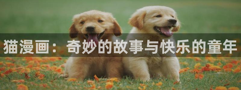 香蕉漫画版本：猫漫画：奇妙的故事与快乐的童年