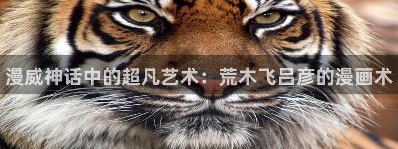 香蕉文化漫画书免费版最新章节