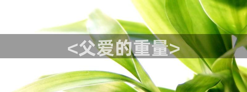 香蕉漫画app下载：<父爱的重量>