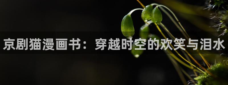 香蕉漫画免费观看：京剧猫漫画书：穿越时空的欢笑与泪水